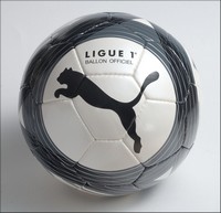 Un ballon unique pour la Ligue 1 dès la saison 2009/2010 