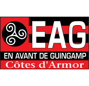 Guingamp-PSG : le stade toujours pas déneigé… 