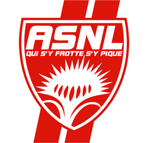 Nancy-PSG : Sylvain Armand sera suspendu 